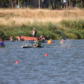 IMG 1932 (326 visites) IMG 1932