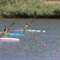 IMG 1954 (389 visites) IMG 1954