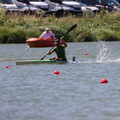 IMG 2025 (353 visites) IMG 2025