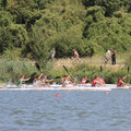 IMG 6082 (350 visites) IMG 6082