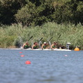 IMG 6110 (413 visites) IMG 6110