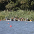 IMG 6113 (420 visites) IMG 6113
