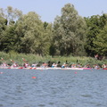 IMG 6131 (357 visites) IMG 6131