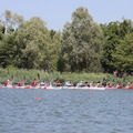 IMG 6132 (368 visites) IMG 6132