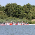IMG 6136 (410 visites) IMG 6136
